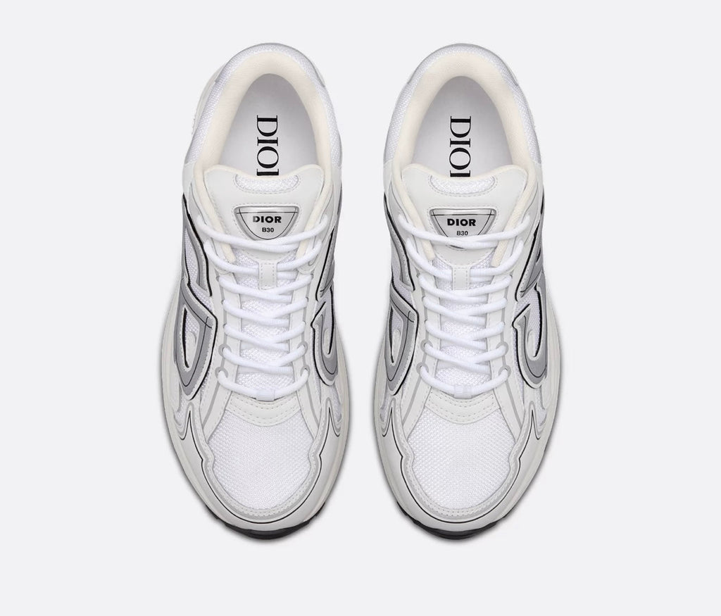 Dior B30 Sneakers White Grey