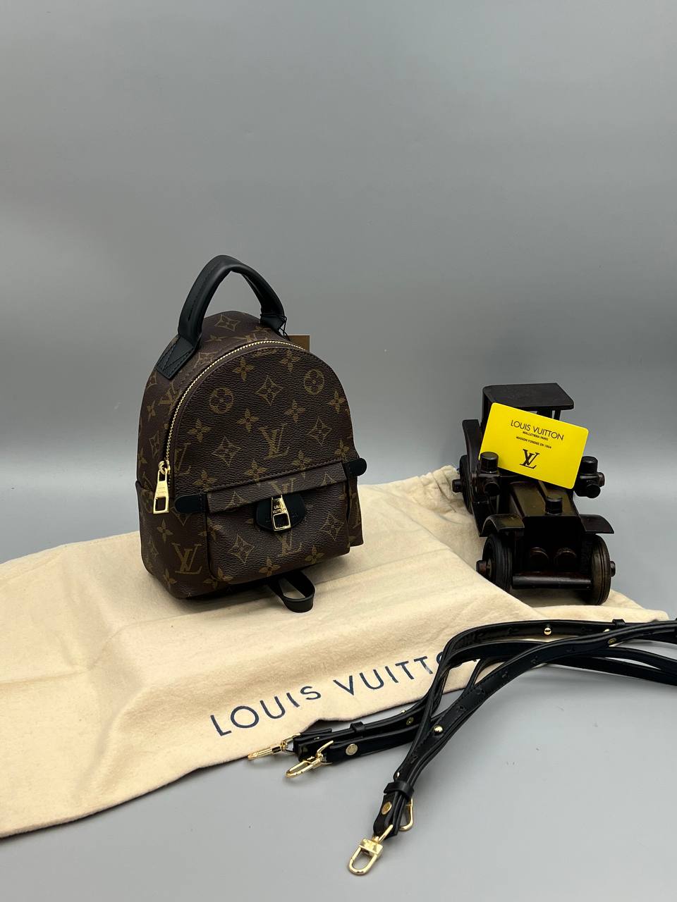 Louis Vuitton Palm Springs Mini Monogram