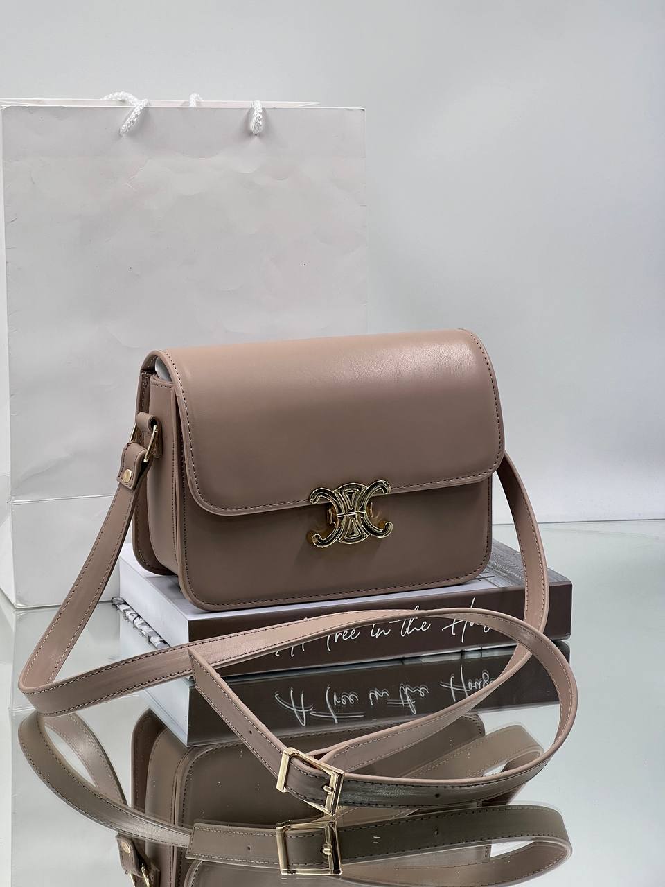 CELINE Triomphe Leather Crossbody Bag Beige