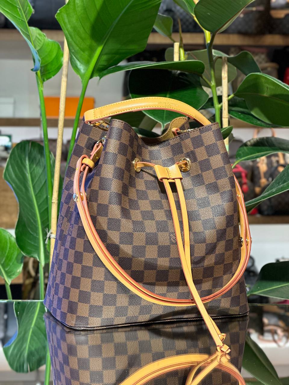 Louis Vuitton NeoNoé Damier Ebene
