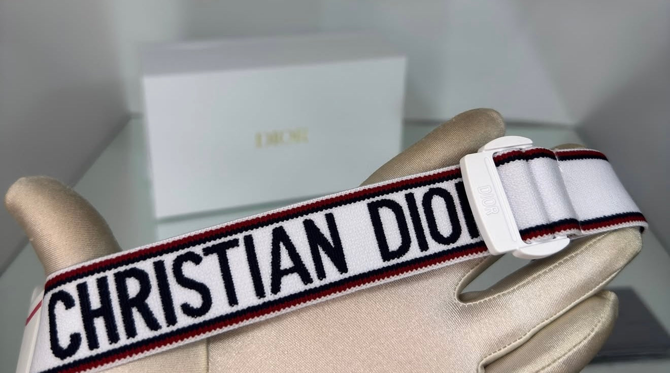 Dior Snow Mask