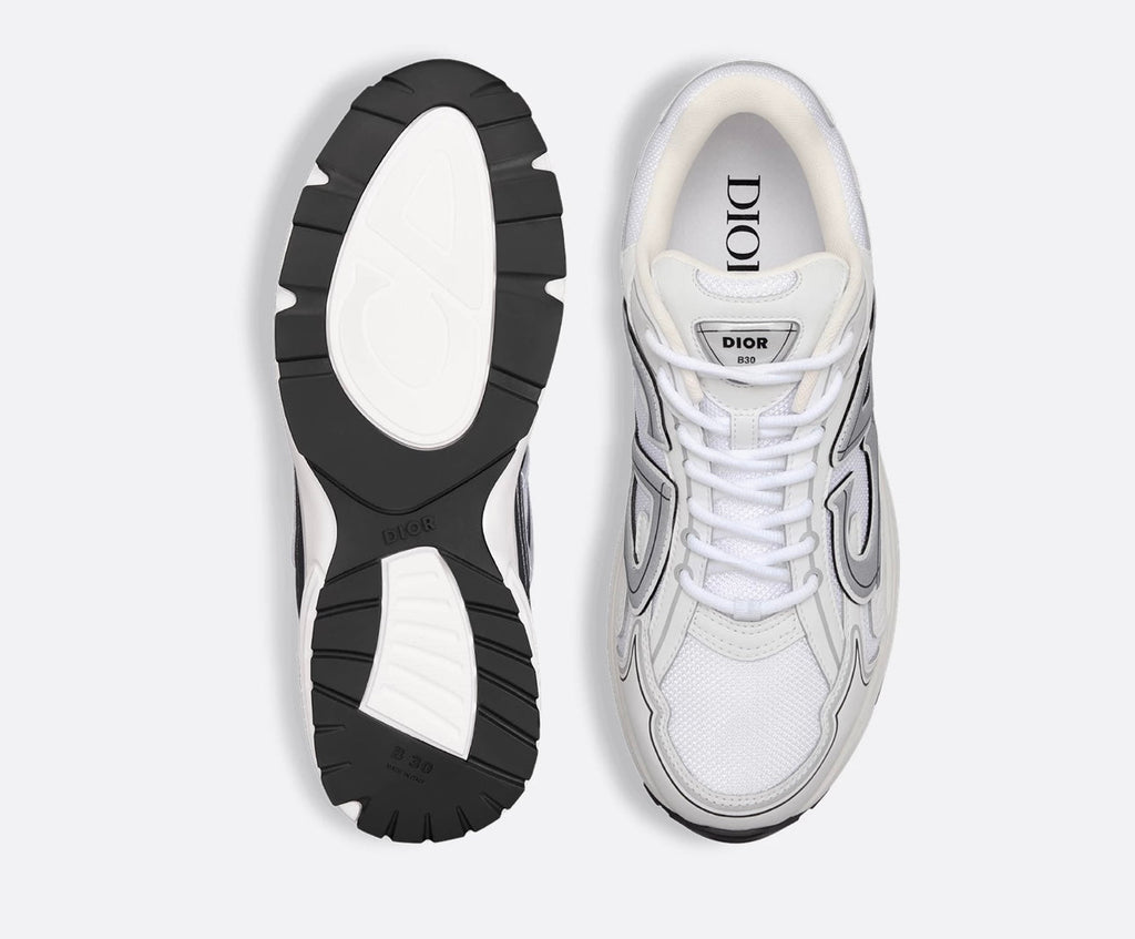 Dior B30 Sneakers White Grey